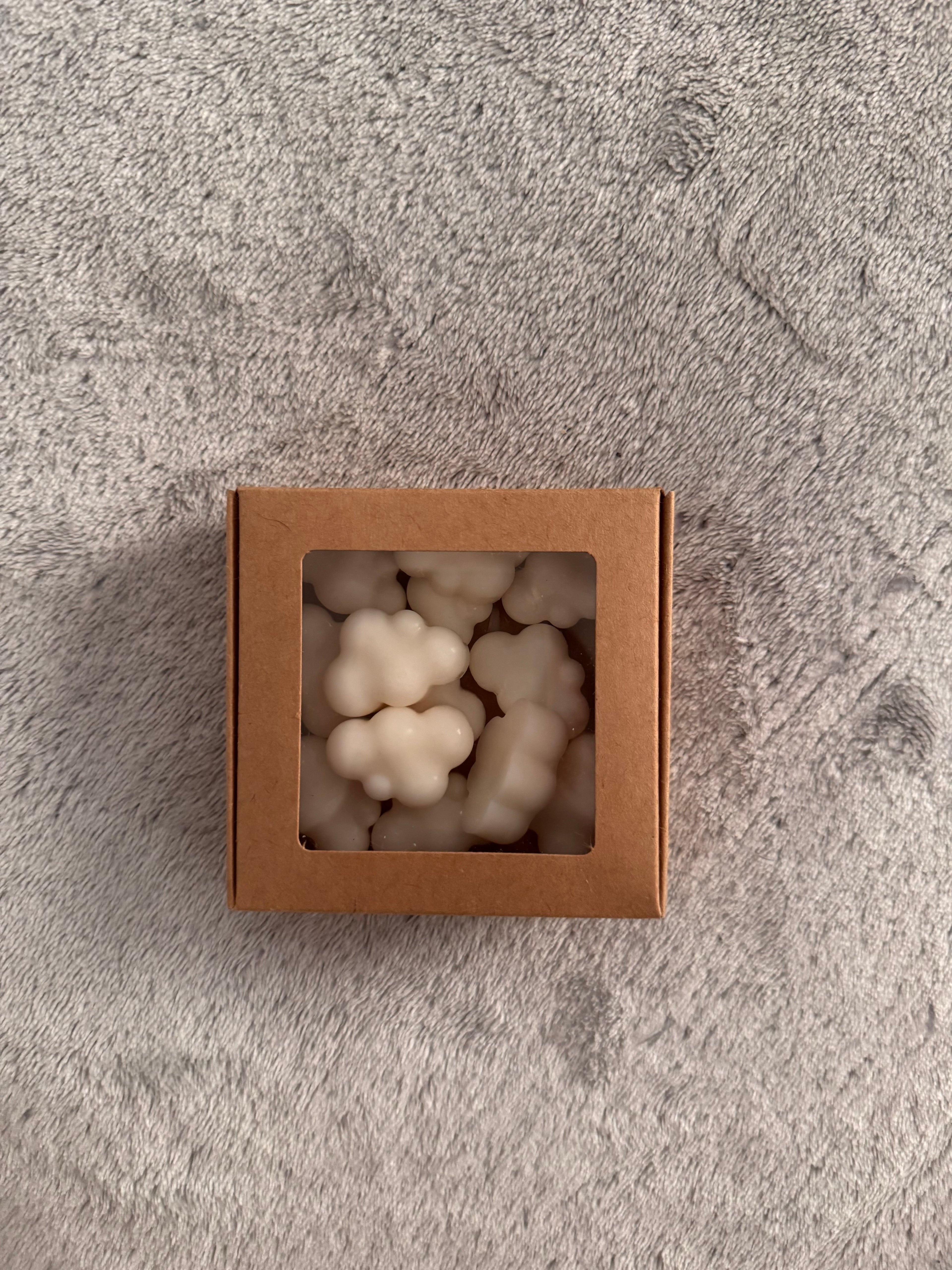 Wax melt Καρύδα